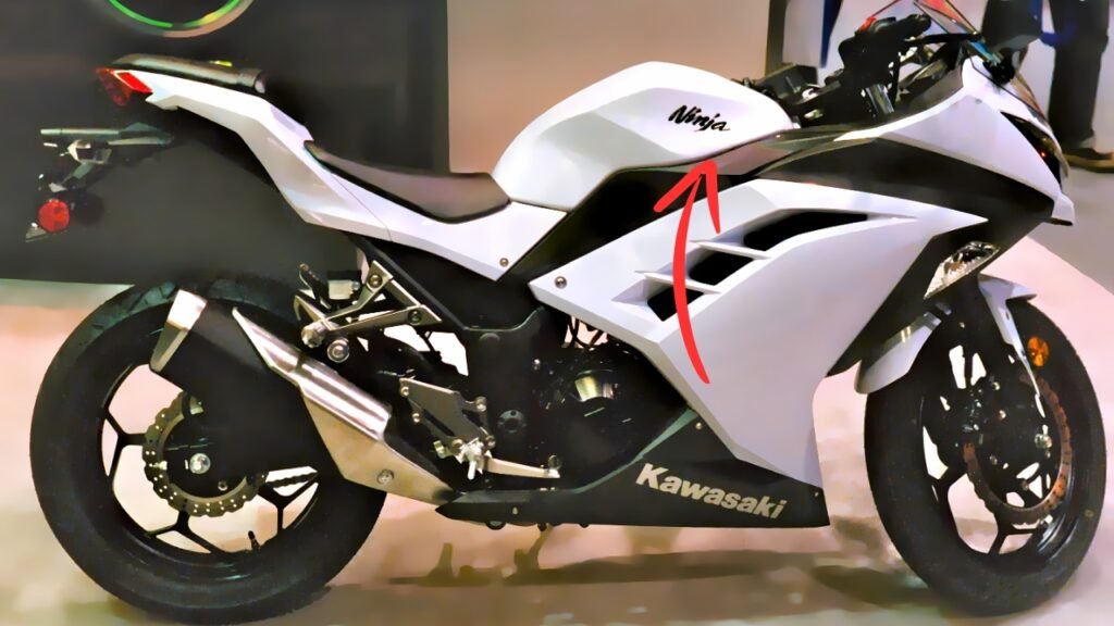 Kawasaki Ninja 300